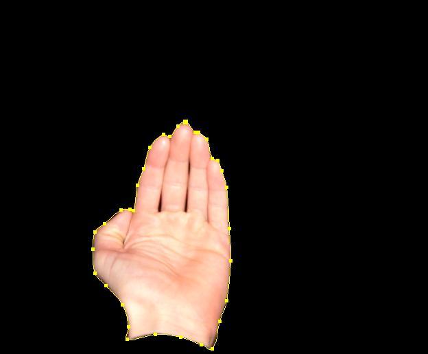 Cliquez pour agrandir l'image.